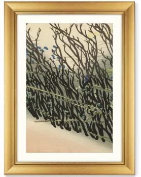 Постер Hedge from Momoyogusa Flowers 61X81 CM