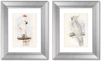 Диптих White cockatoo 41X51 / 41X51 CM