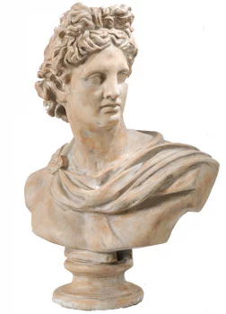 Бюст Apollo Belvedere 61X34X79 CM