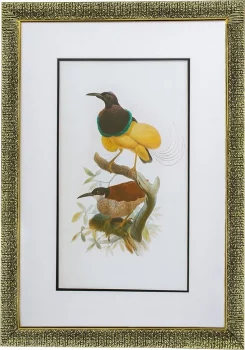 Комплект из двух постеров в раме Bird 50X70 / 50X70 CM