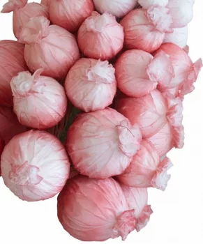 Искусственное растение Hyacinth Oriental 50X50X200 CM