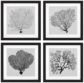 Постеры Shadow Sea Fans 62X62 / 62X62 / 62X62 / 62X62 CM