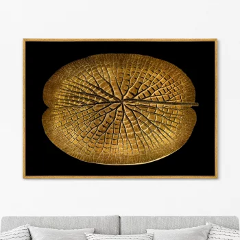 Постер на холсте Leaf of a gigantic Water lily in a gold 105X75 CM