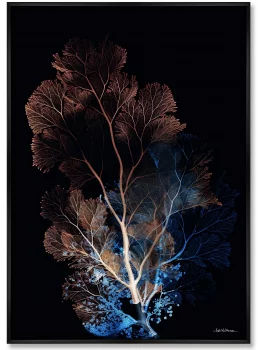 Композиция из двух репродукций картин на холсте Coral Symphony in the Color of Night 75X105 / 75X105 CM