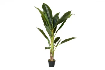 Банановый куст 135 CM