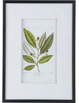 Комплект из двух постеров Flora 50X70 / 50X70 CM