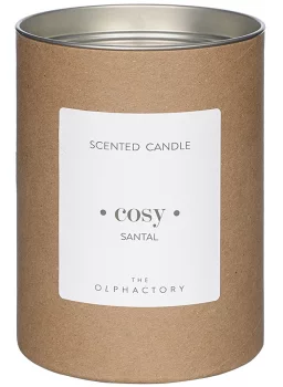 Свеча ароматическая The Olphactory Cosy Sandalwood 40 часов горения