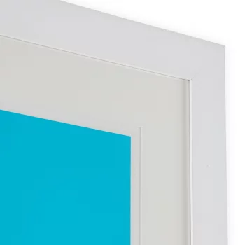 Постер Silkscreen from Boissiere II by Henri Boissi 112X112 CM