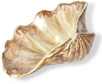 Тарелка Frutti di Mare 20X15 CM Pearl Shell