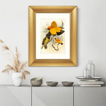 Постер Golden Birds of Paradise 41X51 CM
