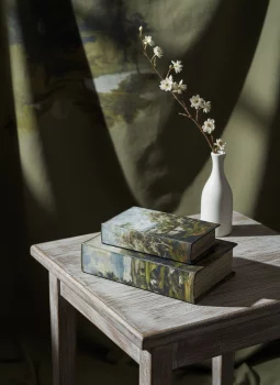 Набор из двух шкатулок в виде книг Bedivere 18X7X27 / 13X5X22 CM