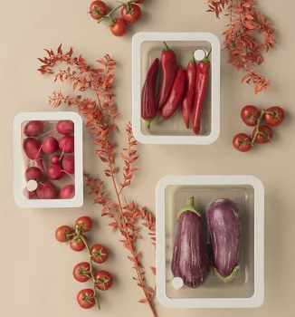 Контейнер для хранения стеклянный с вакуумным эффектом 19X15X5 CM