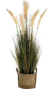 Растение декоративное Cortaderia 35X35X115 CM