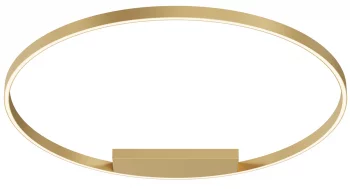 Потолочный светильник Rim 100X100X4 CM