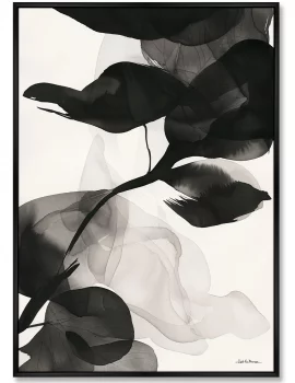 Постер на холсте Orchids 75X105 CM