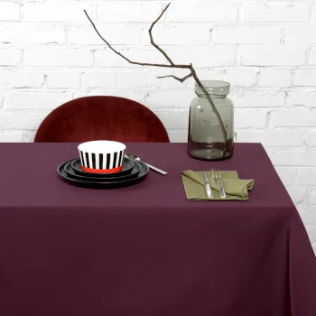 Набор из двух салфеток сервировочных Essential 45X45 CM