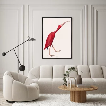 Репродукция картины на холсте Pink Birds Ibis 75X105 CM