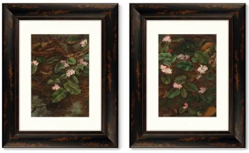 Диптих Trailing Arbutus 41X51 / 41X51 CM
