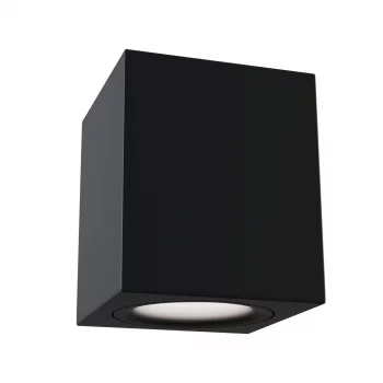 Накладной потолочный светильник Изящность 9X9X11.5 CM