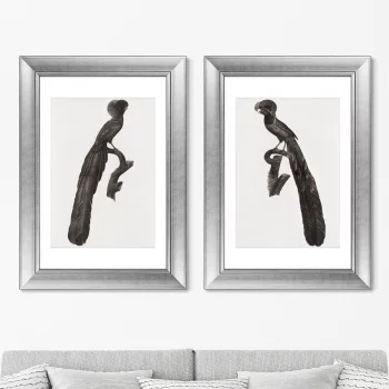 Диптих Magpie Birds of Paradise 51X71 / 51X71 CM