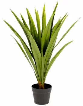 Искусственное растение Yucca 60X60X80 CM