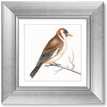 Диптих Goldfinches 36X36 / 36X36 CM