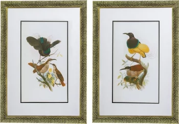 Комплект из двух постеров в раме Bird 50X70 / 50X70 CM