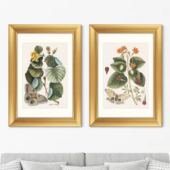 Диптих Beauty bloom 51X71 / 51X71 CM