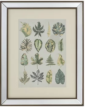 Постер Botanic 40X50 CM
