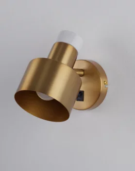 Спот Goldy