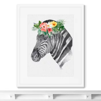 Постер в раме Graceful zebra 42X52 CM
