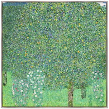Постер Roses under the trees 105X105 CM