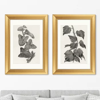 Диптих Melanocarpa from The Ivy 51X71 / 51X71 CM