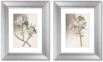 Диптих Watercolor over pencil etude 41X51 / 41X51 CM