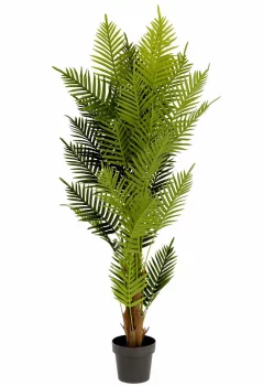 Искусственное растение Fern palm 70X70X150 CM