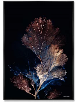 Репродукция картины на холсте  Coral Symphony in the Color of Night 75X105 CM
