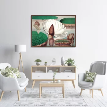 Постер Opening of a gigantic water lily 105X75 CM