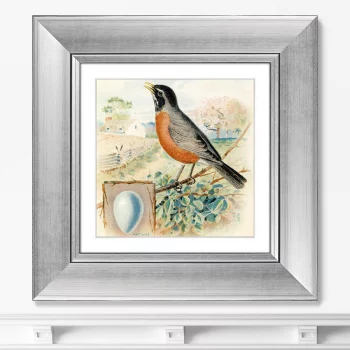 Постер Vintage postcard 36X36 CM