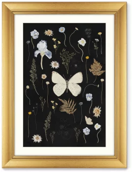 Диптих Flower herbarium No2 61X81 / 61X81 CM