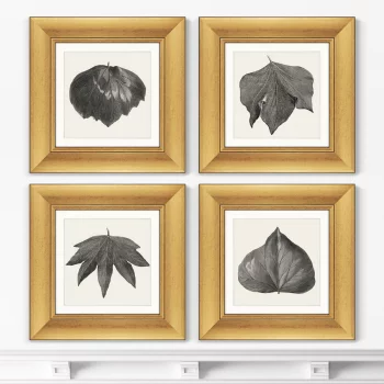 Набор из 4-х картин The Ivy leaves 36X36 / 36X36 / 36X36 / 36X36 CM