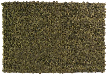 Ковёр из войлока Little field of flowers 200X300 CM зелёный