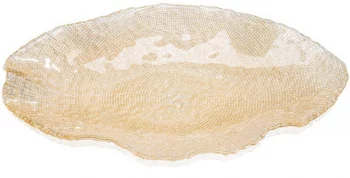 Блюдо овальное Folies 49X29 CM