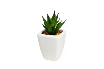 Искусственный суккулент в керамическом горшочке 5X5X11 CM