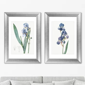 Диптих Dalmatian iris 51X71 / 51X71 CM