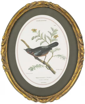Панно настенное Birdwatcher 23X28 CM