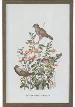 Набор из четырёх постеров Flora 40X60 / 40X60 / 40X60 / 40X60 CM