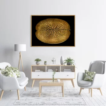 Постер на холсте Leaf of a gigantic Water lily in a gold 105X75 CM