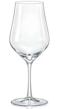 Бокал для вина Tulipa 450 ml