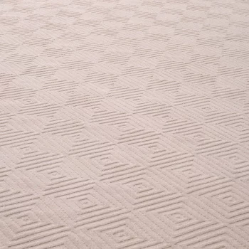 Уличный ковёр Linara 300X400 CM