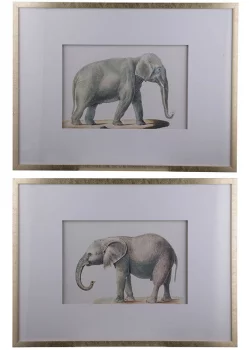 Диптих Elephant 80X60 / 80X60 CM